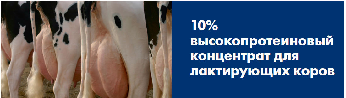 БМВК 10% для лактирующих коров