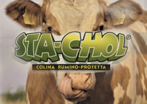СТА-ХОЛ гепатопротектор для коров
